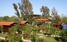 La Boutique Hemerans Çıralı 3*