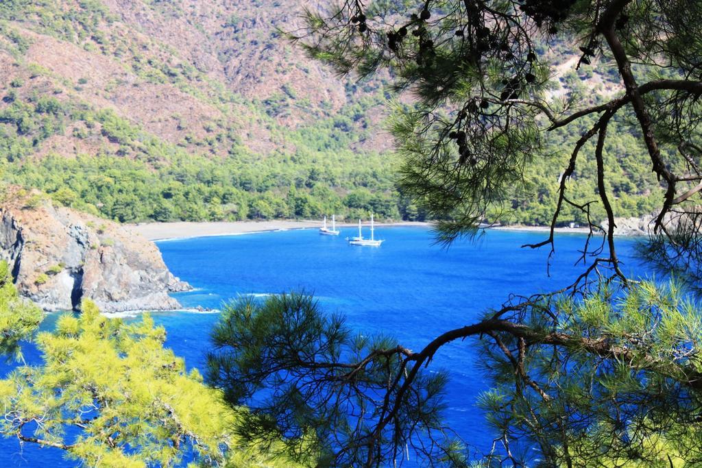 La Boutique Hemerans Çıralı Otel Dış mekan fotoğraf
