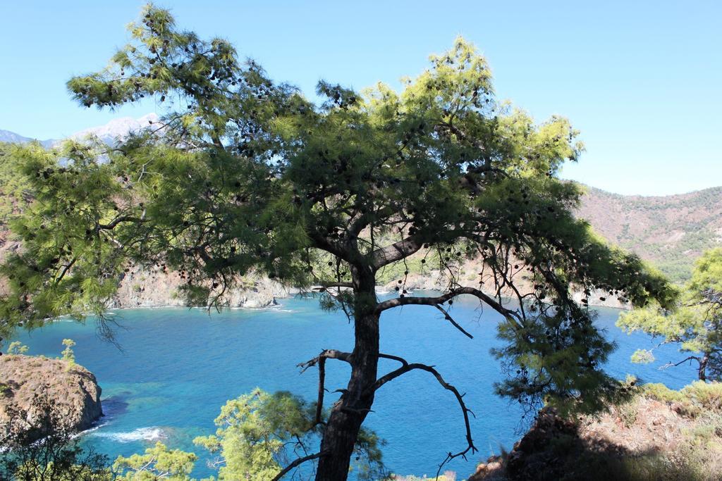 La Boutique Hemerans Çıralı Otel Dış mekan fotoğraf